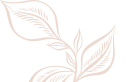 leaves_1_3